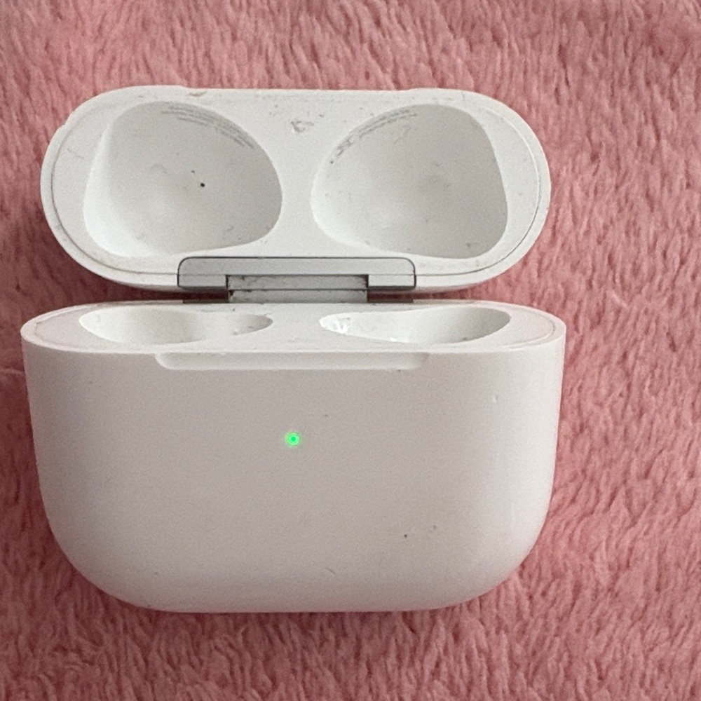 Apple White Earbuds Case